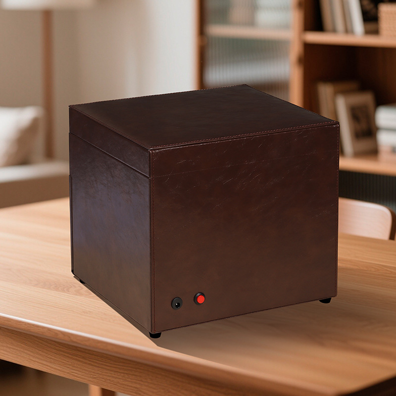 Caja de Almacenamiento y Exhib - Watch Display Box reseña y precio